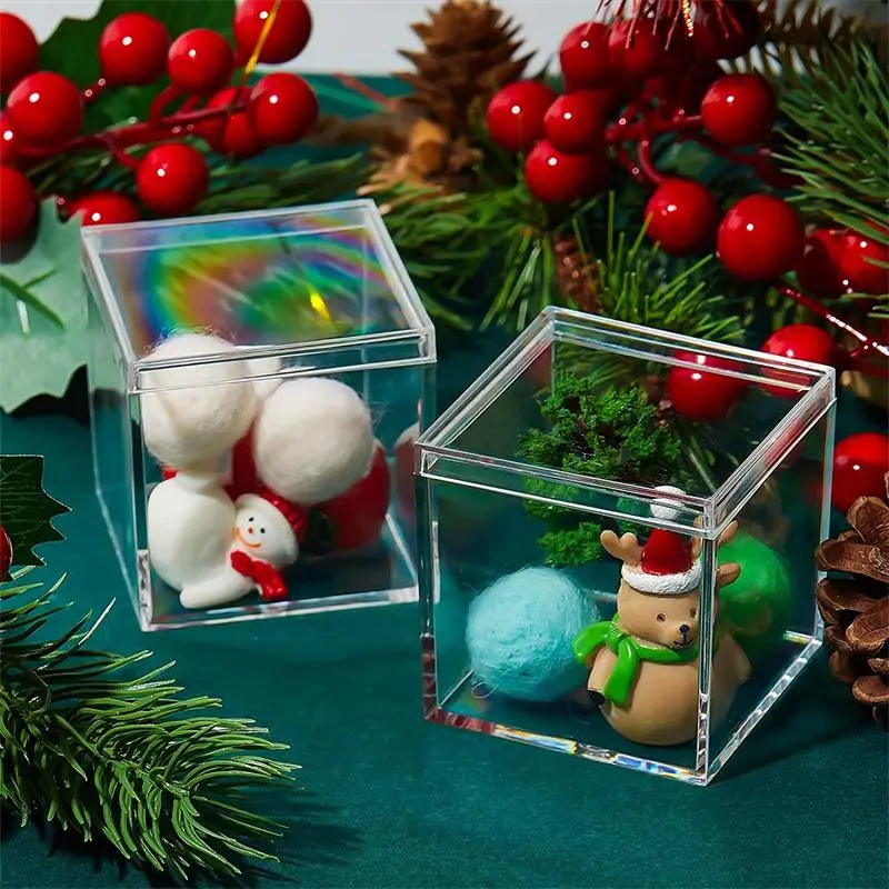 12 個透明アクリルボックスカバー付きプラスチックオーガナイ - Xmas Food Storage Containers のレビューと価格